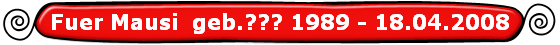 Fuer Mausi  geb.??? 1989 - 18.04.2008