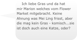 Ich liebe Gras und da hat mir Marion welches vom Flower Market mitgebracht. Keine Ahnung was Mei Ling frisst, aber die mag kein Gras - komisch...sie ist doch auch eine Katze, oder?