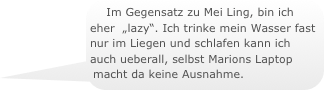 Im Gegensatz zu Mei Ling, bin ich eher  „lazy“. Ich trinke mein Wasser fast nur im Liegen und schlafen kann ich auch ueberall, selbst Marions Laptop macht da keine Ausnahme.